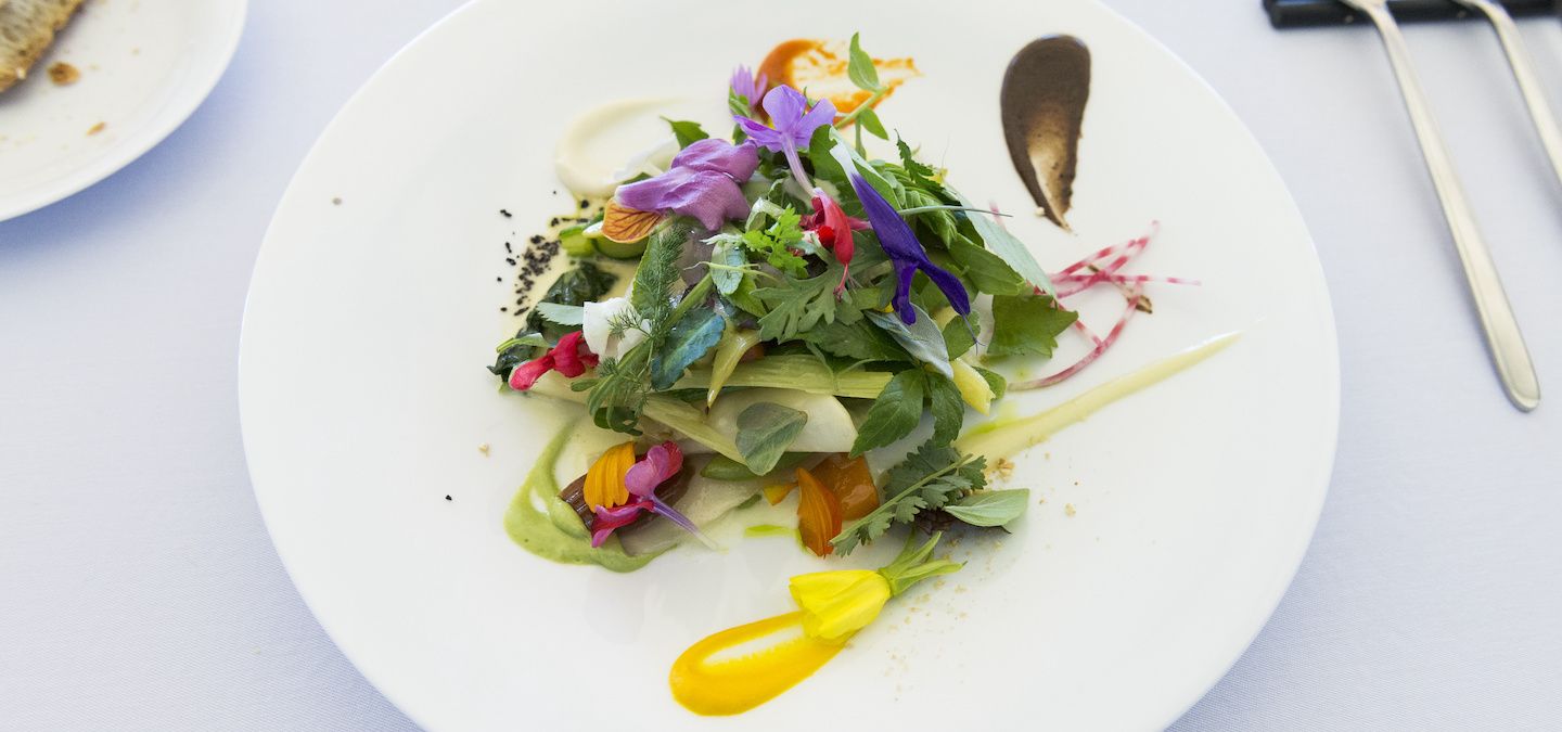 michelin starred terra a foodies review of paris modern cuisine haven